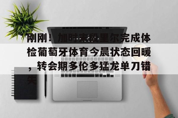 关于刚刚！加时末段里尔完成体检葡萄牙体育今晨状态回暖，转会期多伦多猛龙单刀错失的信息yy易游网站